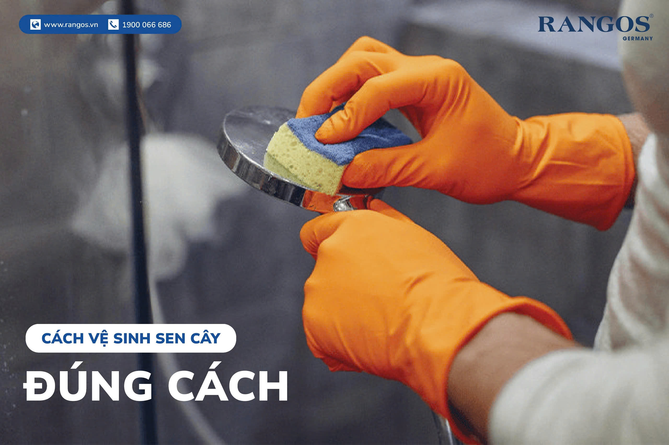 CÁCH VỆ SINH SEN CÂY ĐÚNG CÁCH